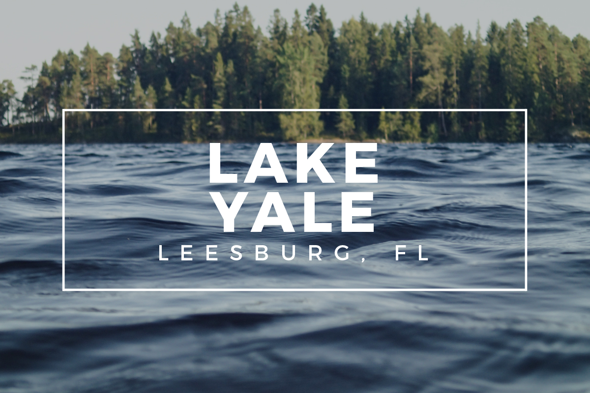 Lake Yale