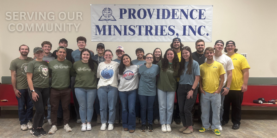 Web-Institute 17 Web-Institute 17